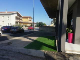 Zona