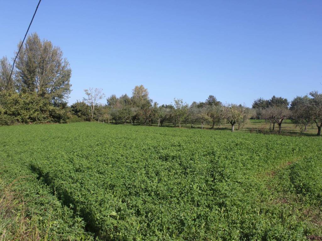 Terreno agricolo, sant'agata de' goti