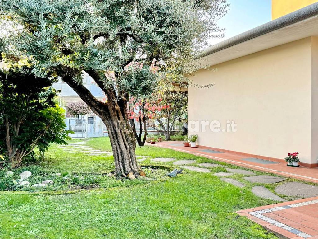 Giardino