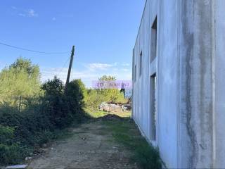 Zona