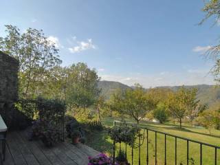 Vista