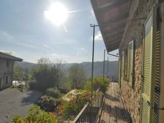 Vista