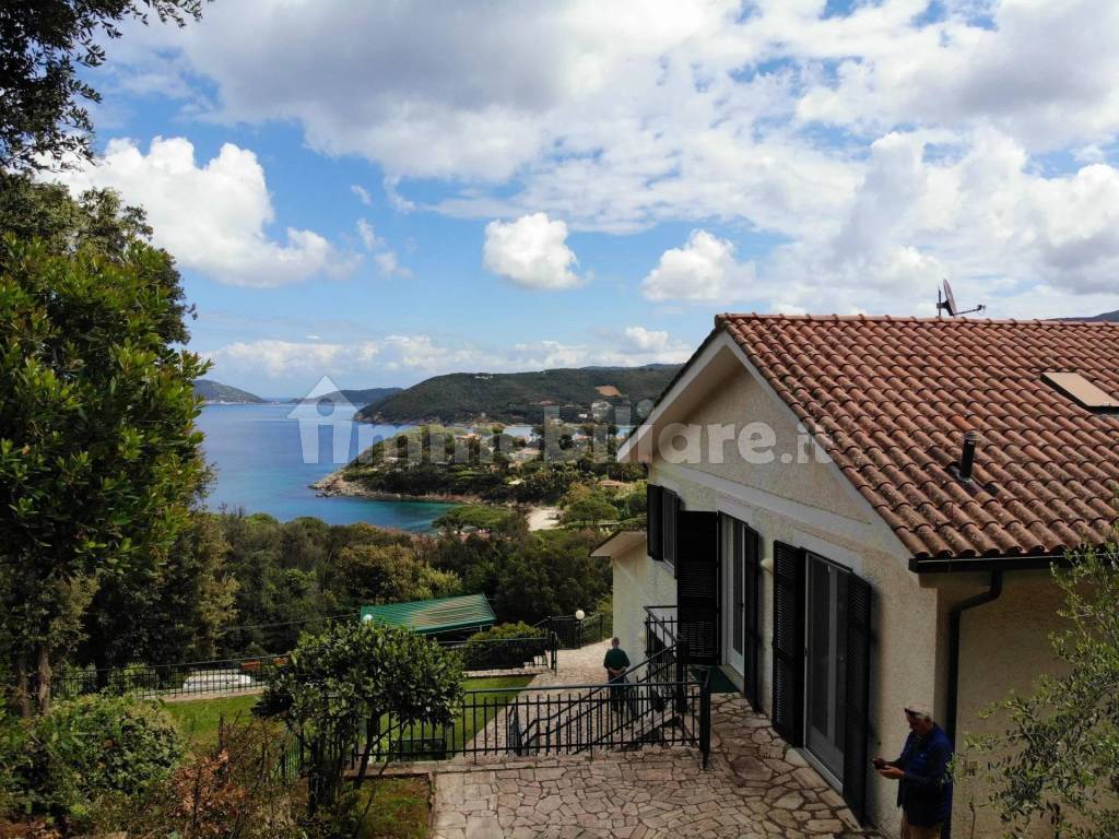 Vista