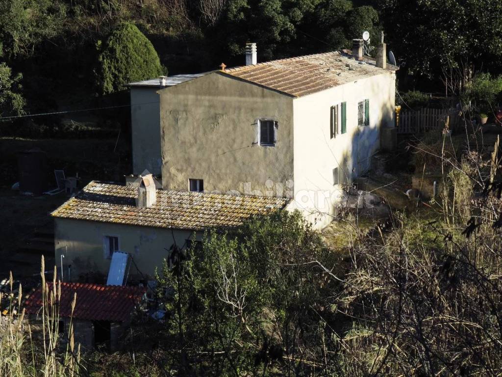 Vista