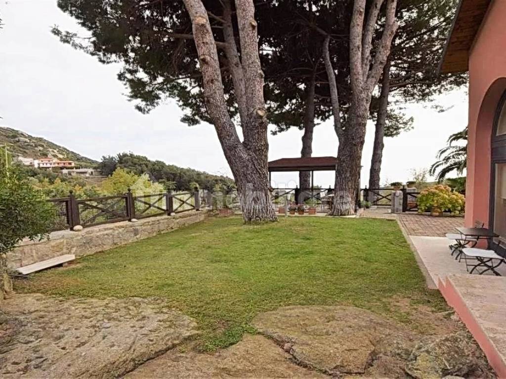 Giardino