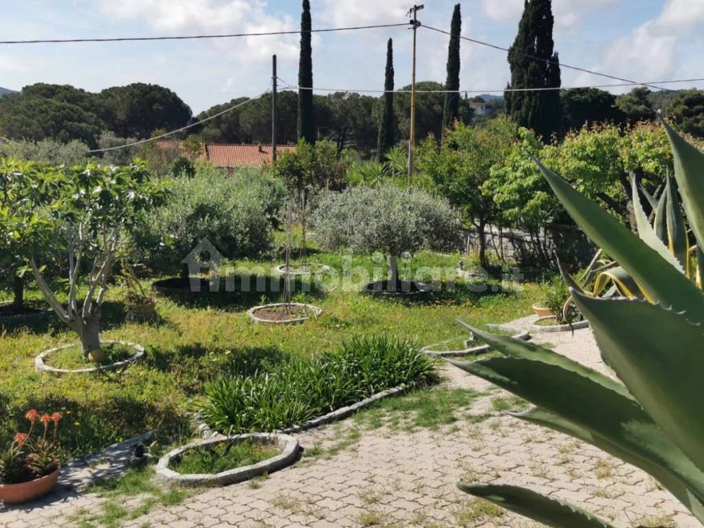 Giardino