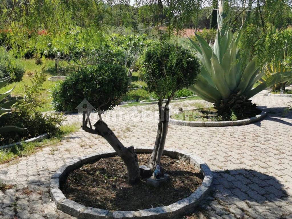 Giardino