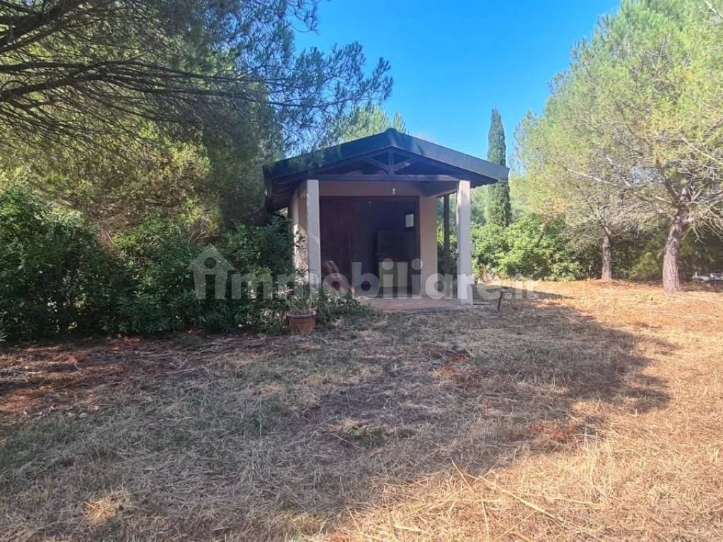 Giardino