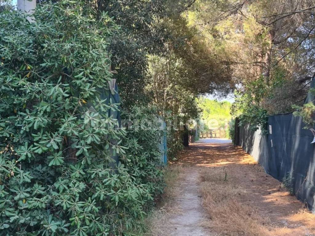 Giardino