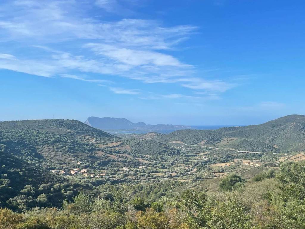 Terreno agricolo, san teodoro