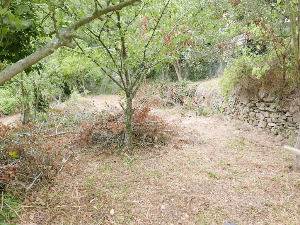 Terreno agricolo, soldano