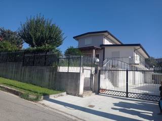 Zona