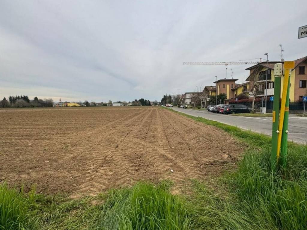 Terreno agricolo via misentasca, lazzate