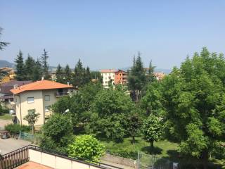 Vista