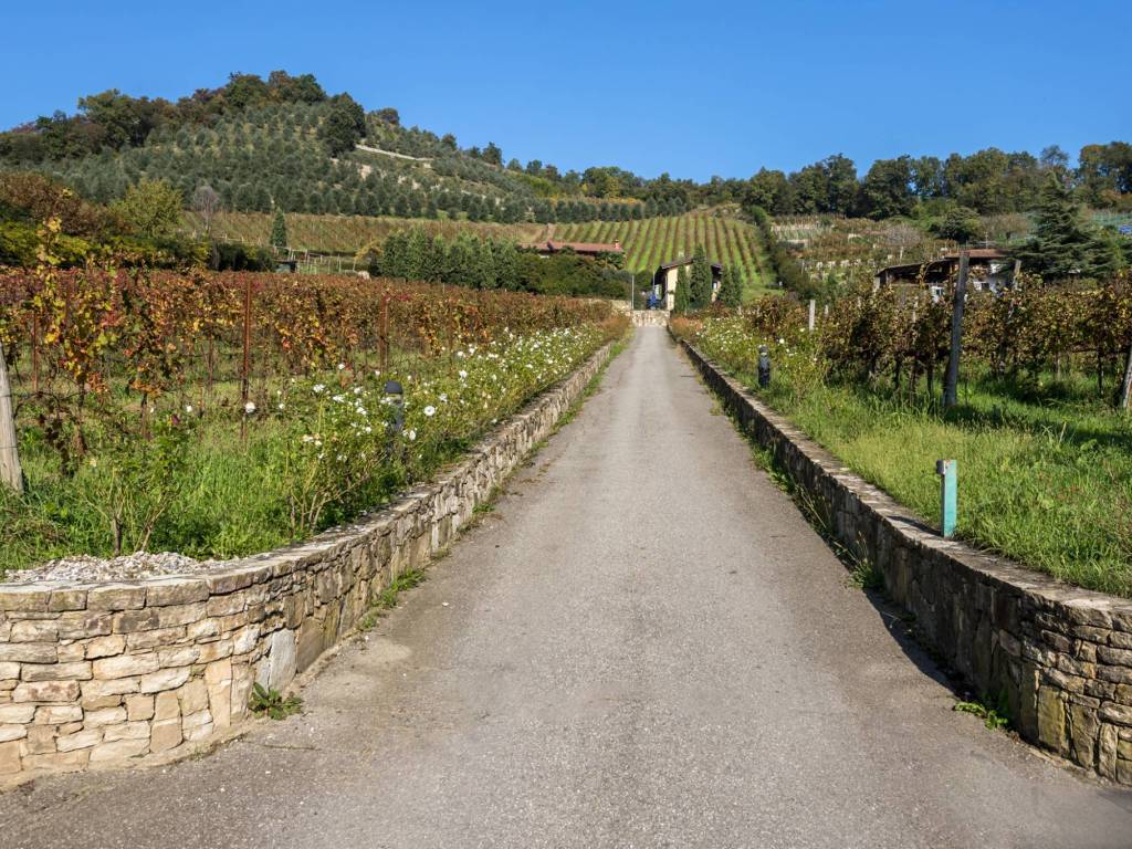 Terreno agricolo, scanzorosciate