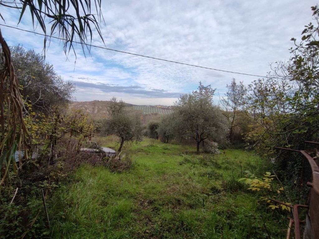 Terreno agricolo zona industriale campolungo, ascoli piceno