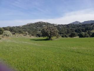 Terreno