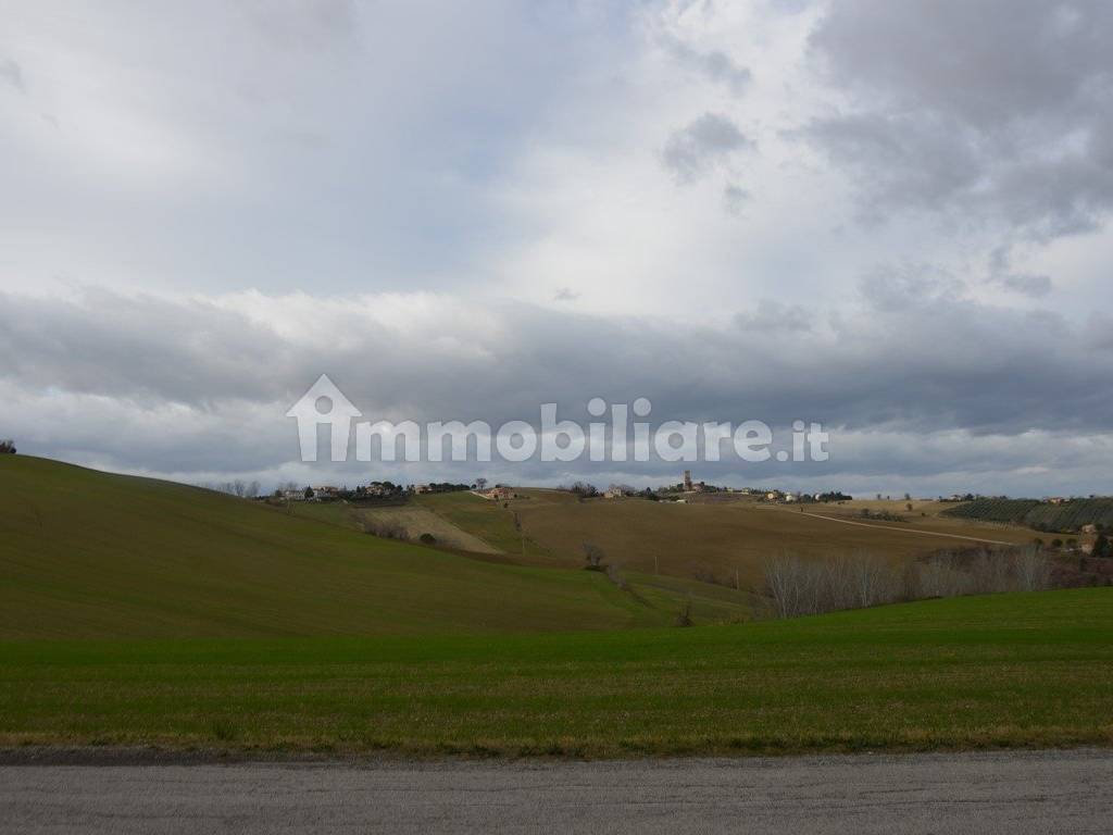 Terreno