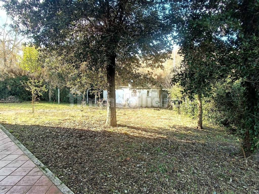 Giardino