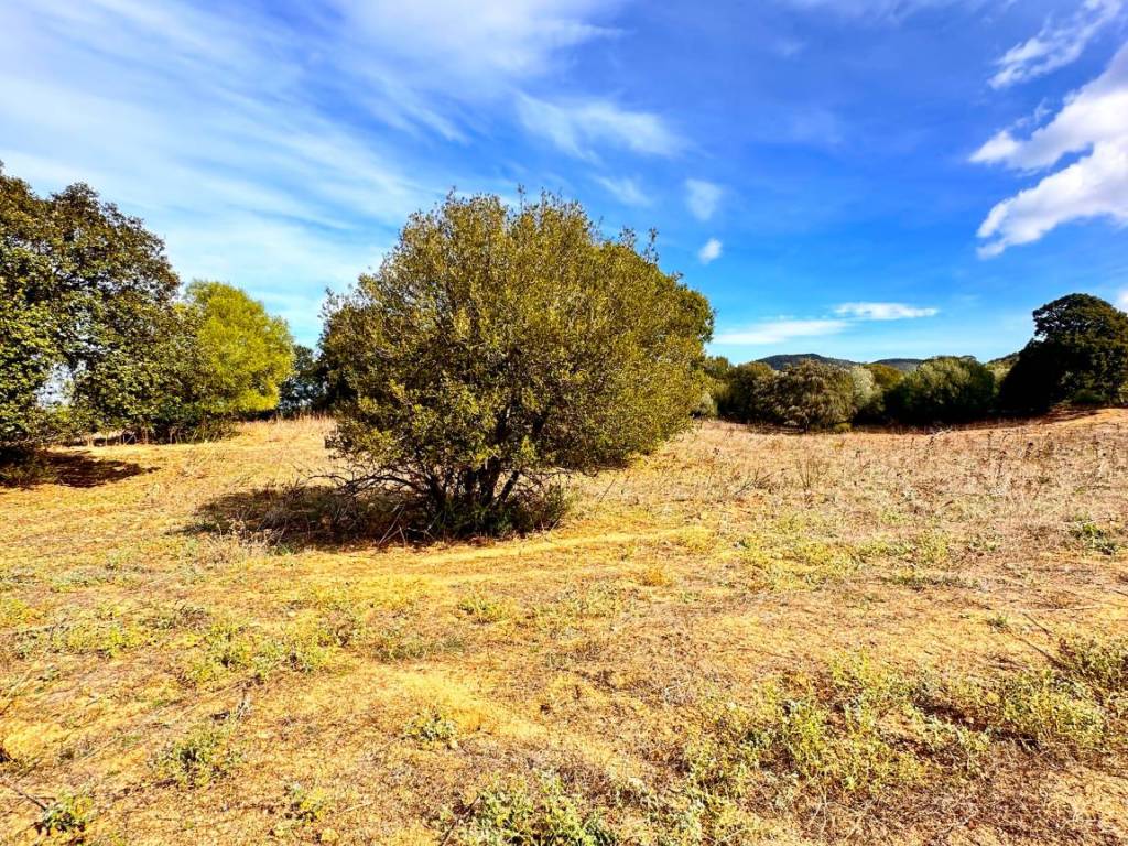 Terreno agricolo trudda, loiri porto san paolo