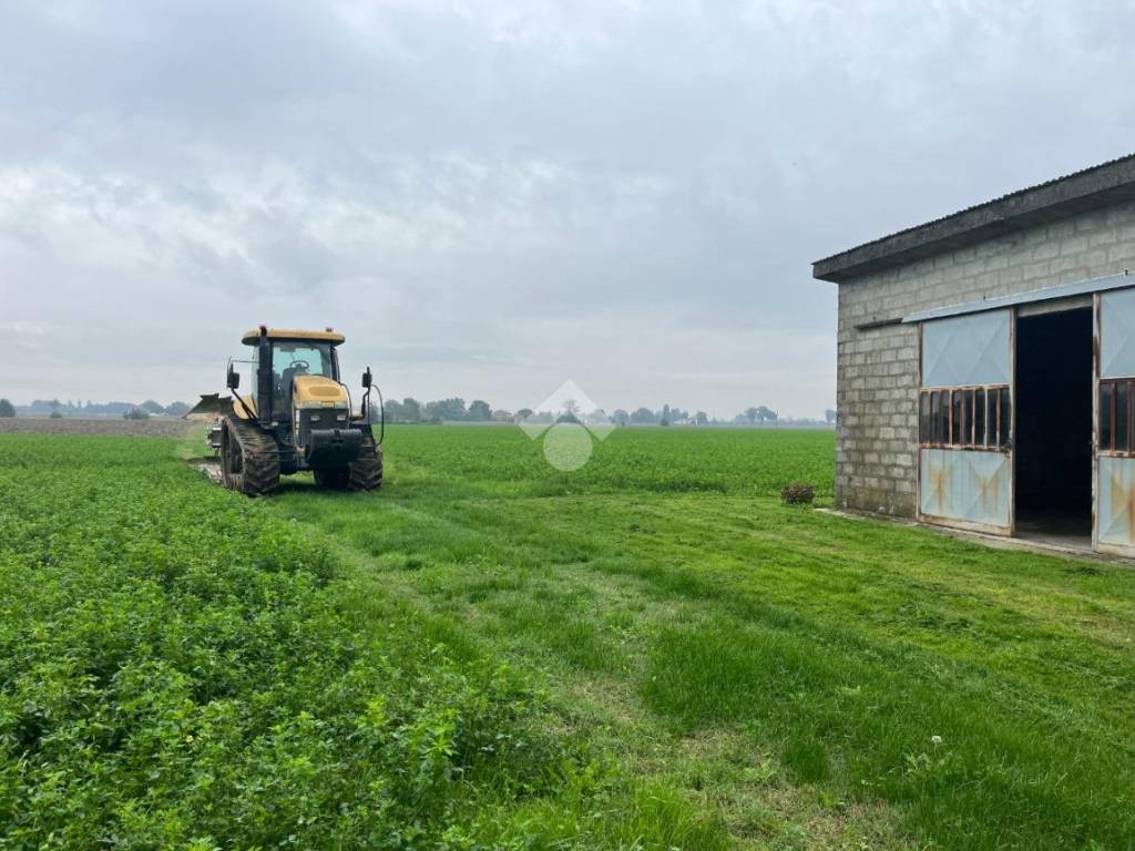 Terreno agricolo via pagana 11, quartesana, ferrara