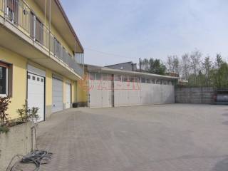 Zona