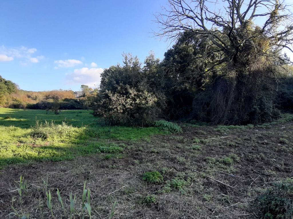 Terreno edificabile via cassia botte, centro, vetralla