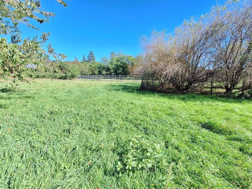 Terreno agricolo, centro, cairate