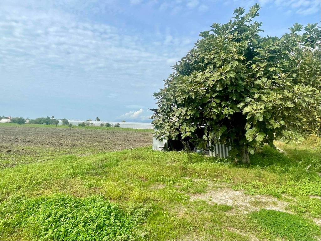 Terreno agricolo via verdesca, battipaglia