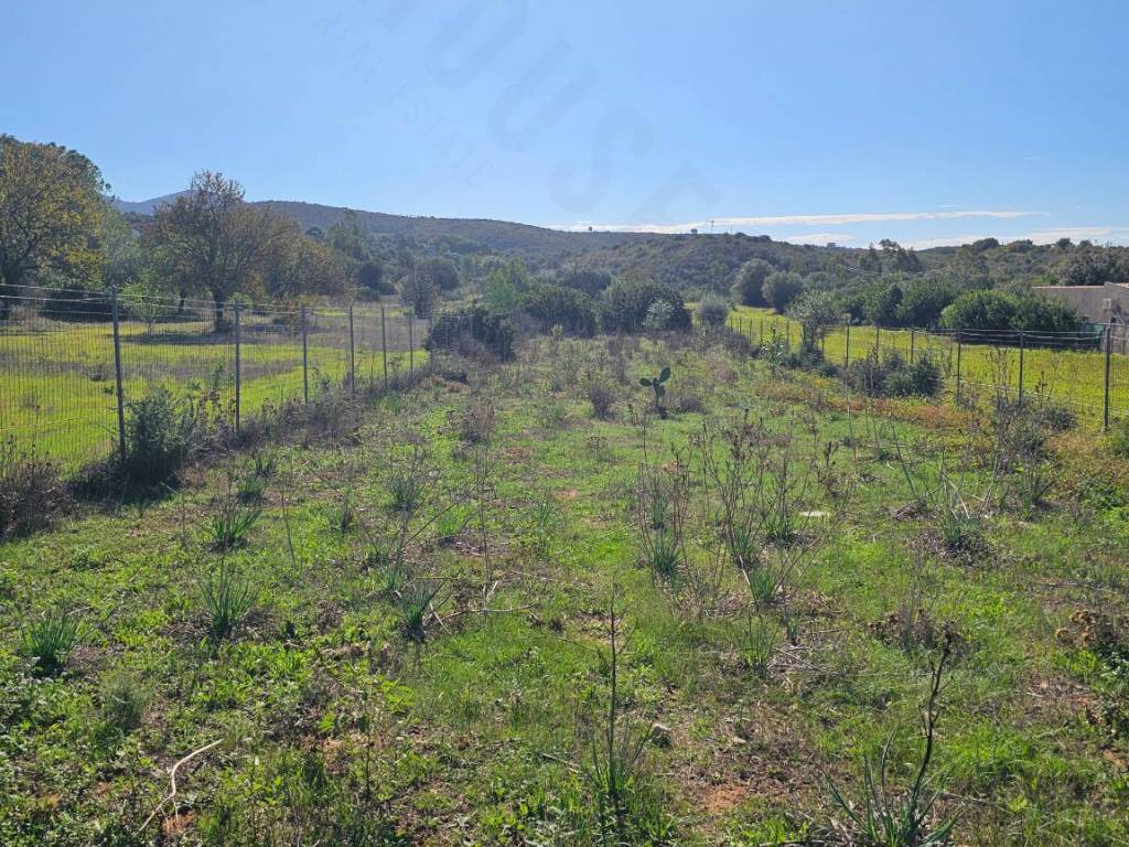 Terreno agricolo via delle more, quartucciu