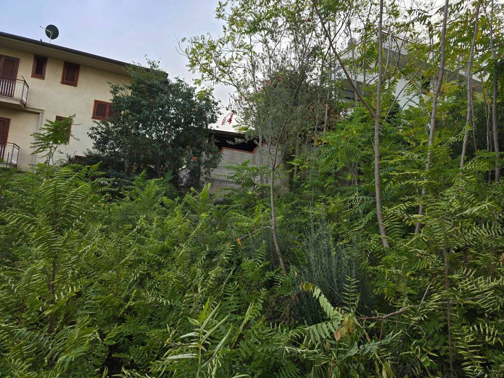 Terreno edificabile via corrado cagli, boccadifalco - baida, palermo
