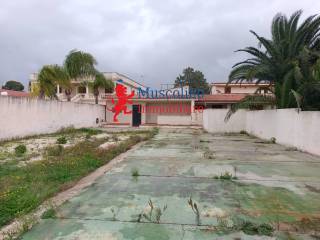 Zona