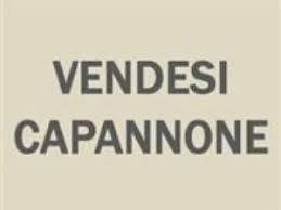 Capannone, papini - oltremare, riccione