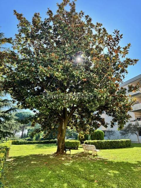 Cortile interno