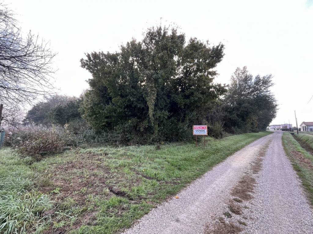 Terreno agricolo via ronche, centro, sossano