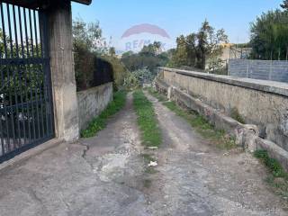 Zona