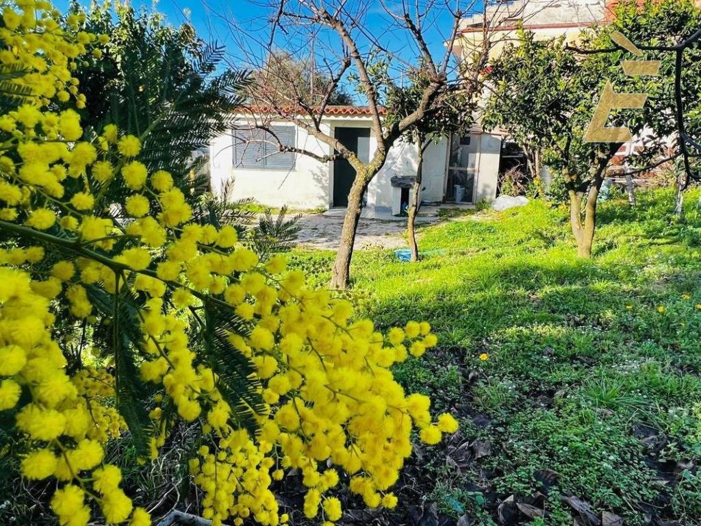 Terreno agricolo via pagliarelle 20, torre del greco