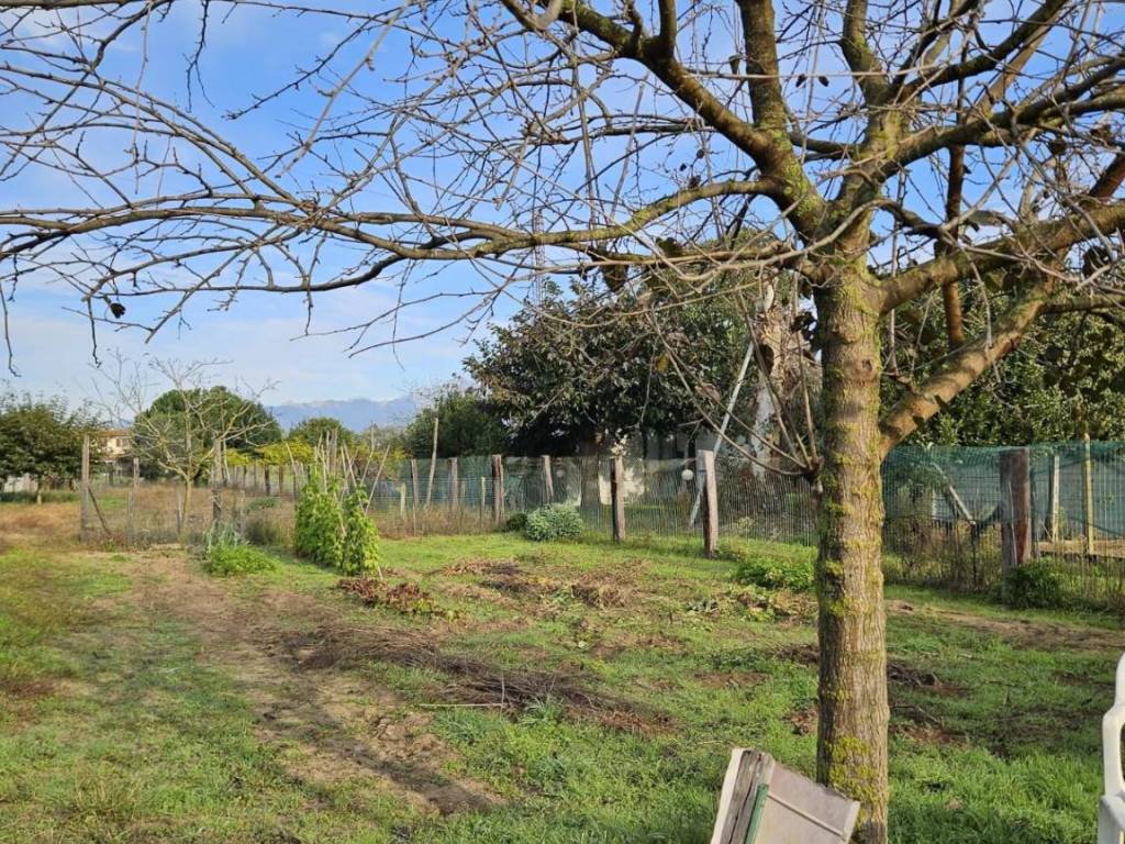 Terreno agricolo via della gronda, terminetto - migliarina, viareggio