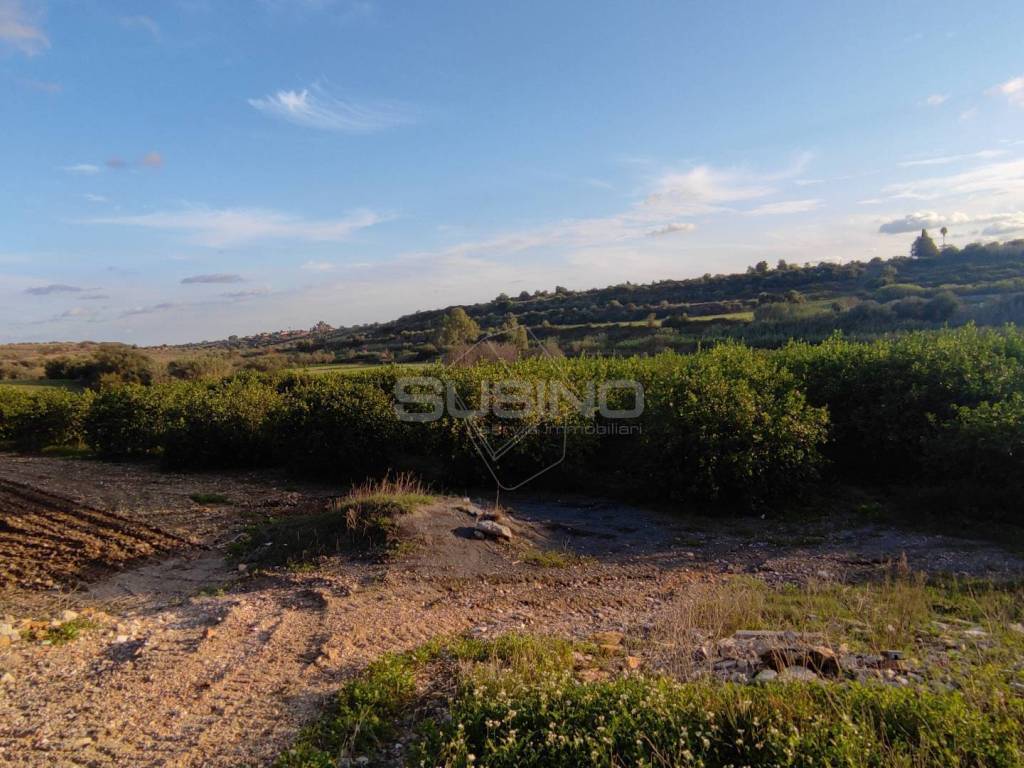 Terreno agricolo traversa artiglieria, tivoli, siracusa