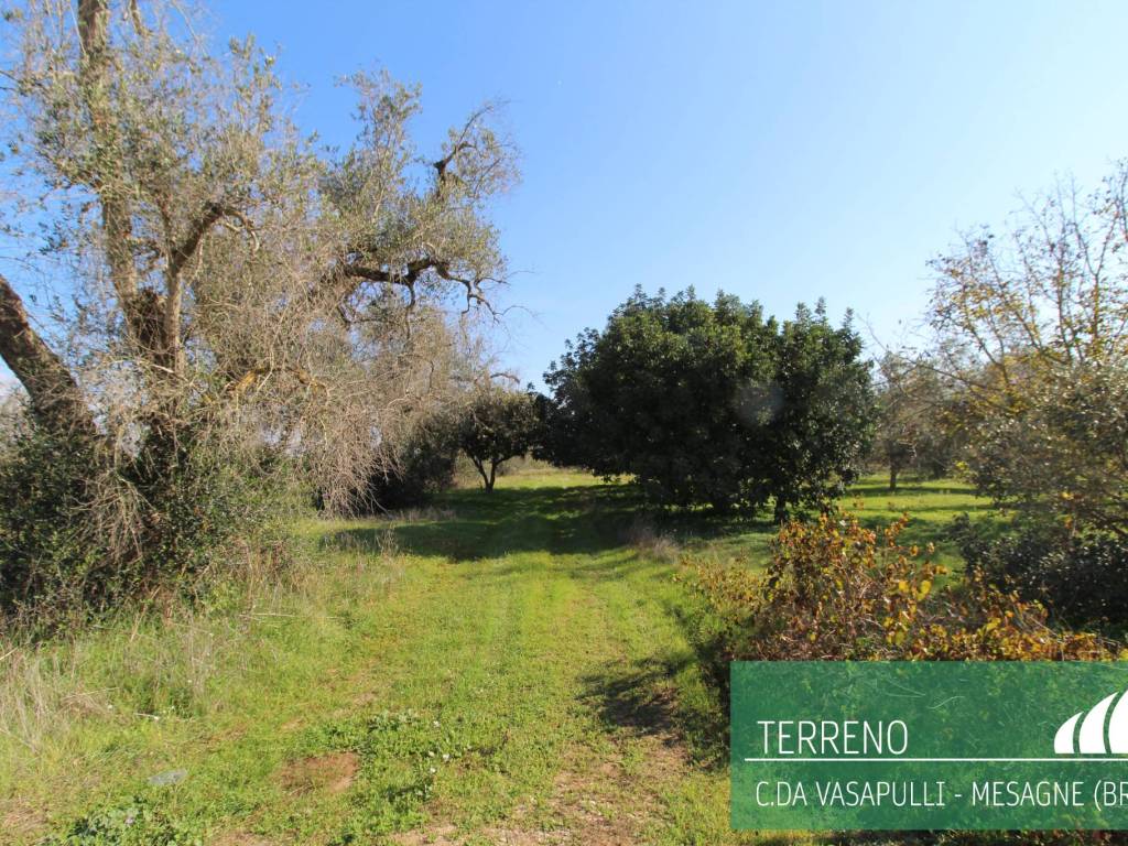 Terreno agricolo contrada vasapulli, mesagne