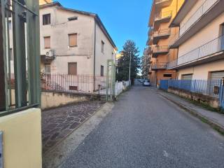 Zona