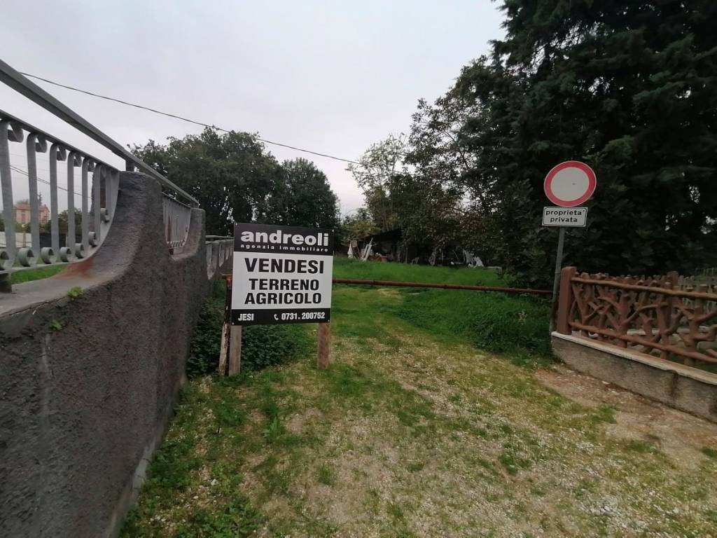 Terreno agricolo, borgo minonna, jesi