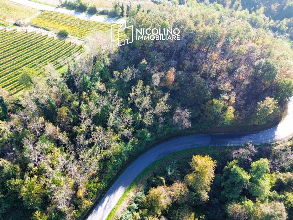 Terreno agricolo località bussia, monforte d'alba