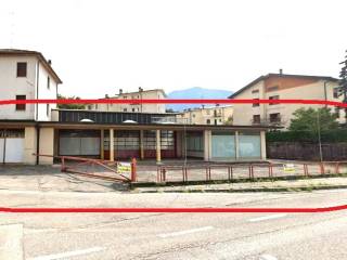 Zona