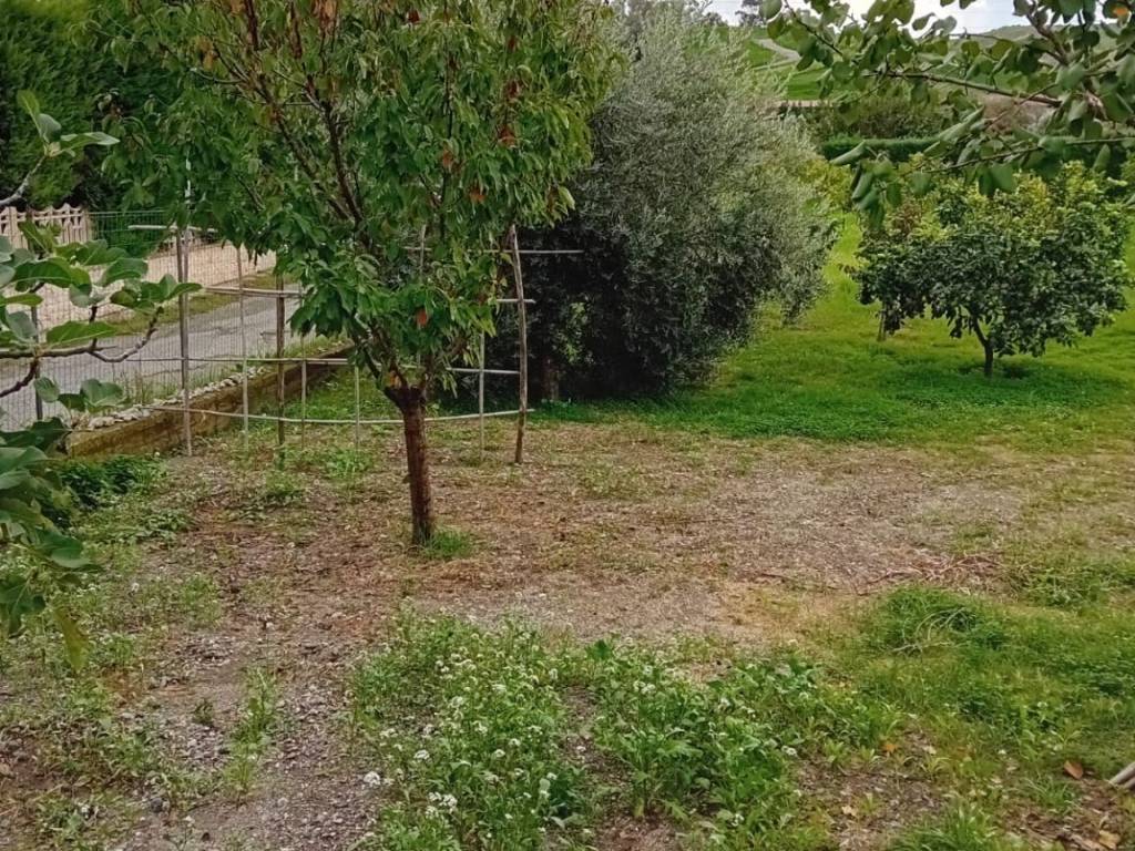 Terreno edificabile strada provinciale africo 15a, bianco
