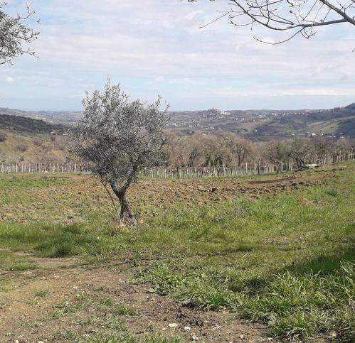 Terreno edificabile contrada colle spaccato, bucchianico