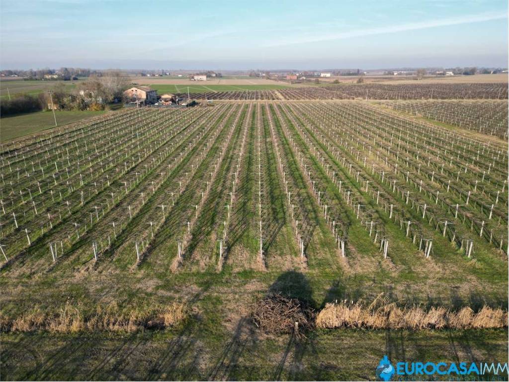 Terreno agricolo via dossi, 4, cortile, carpi