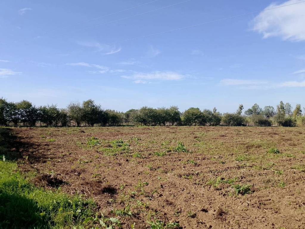 Terreno agricolo via domiziana , snc, cellole