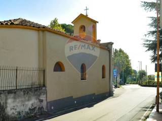 Zona