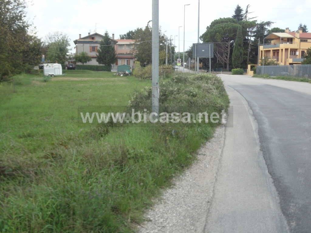 Terreno agricolo via arena, vallefoglia